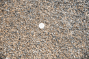 7MM Washed Rock - Per Yard - The Gravel Guys Landscaping Gravel, Soil, Rocks, Stone and Aggregate Delivery Calgary
