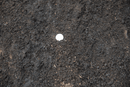 Aged Compost - The Gravel Guys Landscaping Gravel, Soil, Rocks, Stone and Aggregate Delivery Calgary